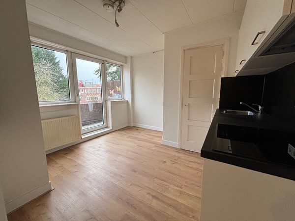 WhatsApp Image 2026-02-03 at 14.24.32 (12).jpeg